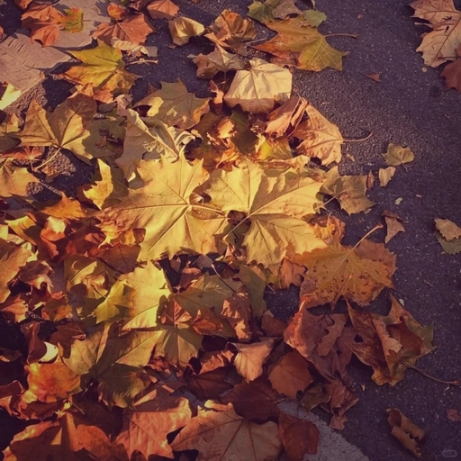 aesthetic vintage style pfp