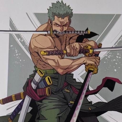 high quality zoro profile picture