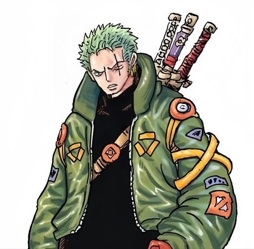 cool zoro pfp anime