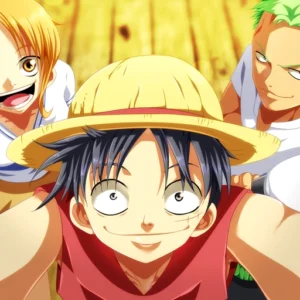 one piece pfp aesthetic art