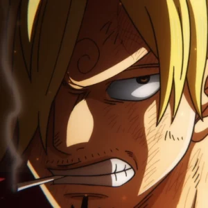 one piece pfp matching vibe