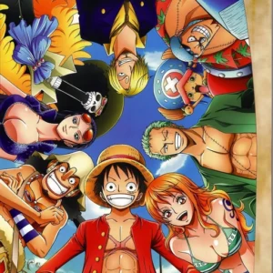 one piece matching pfp team