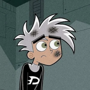 danny phantom couple pfp anime style