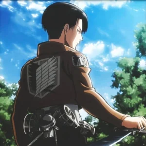 levi aesthetic pfp anime