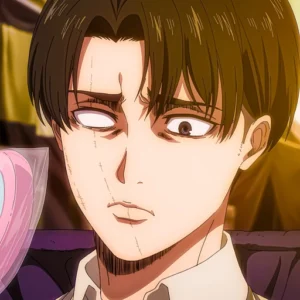 aesthetic levi profile pic