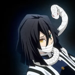 cool obanai pfp