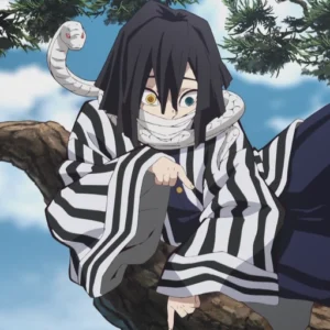 obanai pfp funny