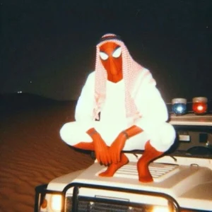 profile sad pfp tiktok