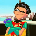 robin pfp fun style