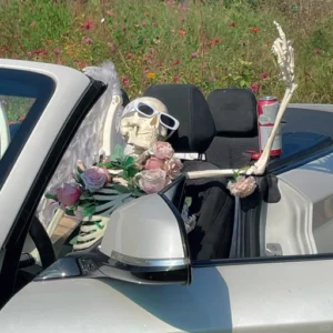 skeleton pfp discord