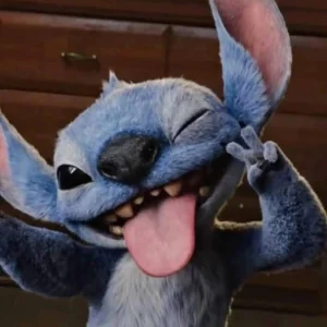 stitch pfp funny face