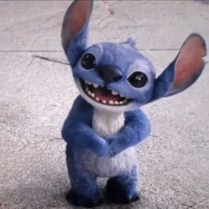 stich pfp aesthetic soft