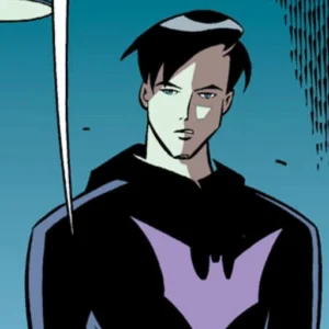 terry mcginnis pfp heroic stance