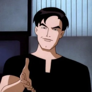 terry mcginnis pfp fighting crime