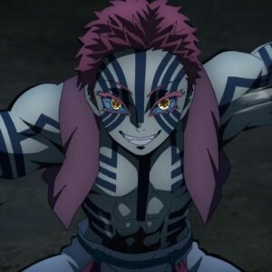 Akaza battle scene PFP