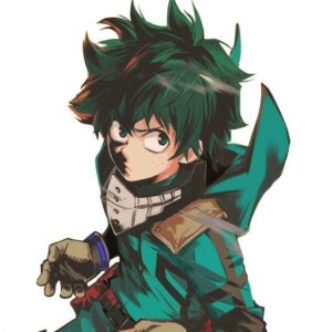 Deku fighting pose PFP