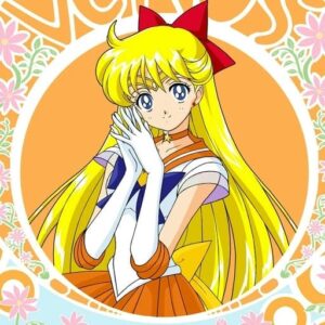 Sailor Moon colorful PFP