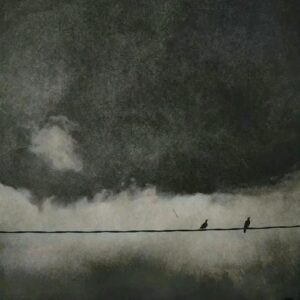 anonymous pfp dark theme