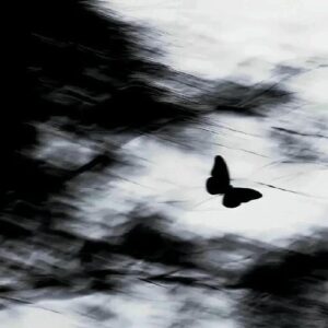 anonymous pfp icon design