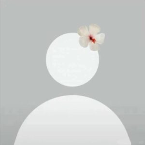 anonymous pfp profile