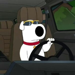 chill guy wallpaper sunset