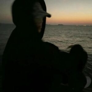 chill pfps for social media