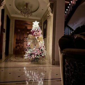 christmas pfp funny avatar