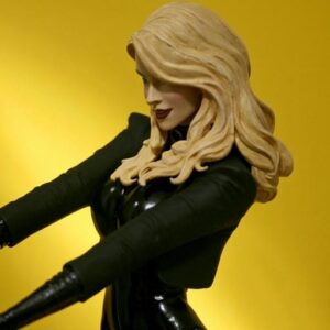 cinematic black canary pfp