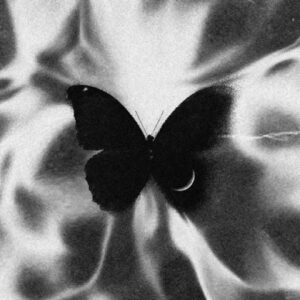 colorful anonymous pfp