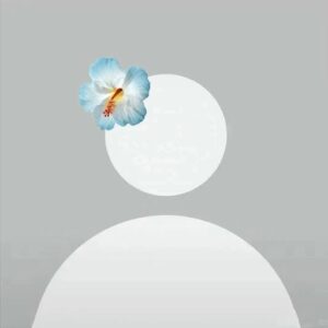 cool anonymous pfp icon