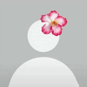 dark anon pfp avatar