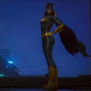 heroic action batgirl pfp
