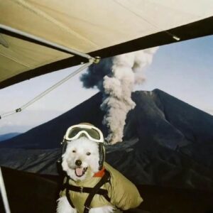 pfp chill dark aesthetic