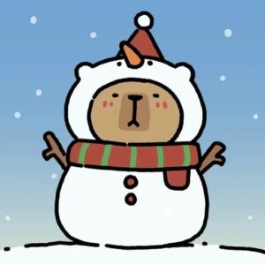 pfp christmas funny face