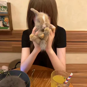 pfp for girls aesthetic vibes