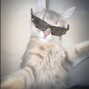 sigma profile pic cinematic look